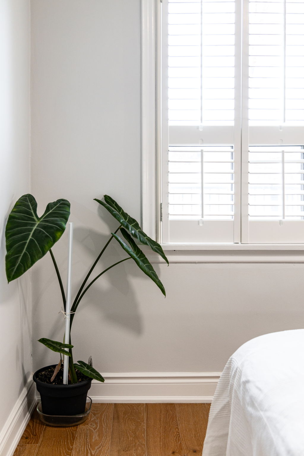 Toronto · Essential package — delivered property photograph 46