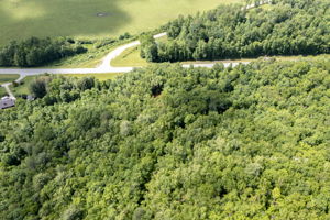  Photo 0