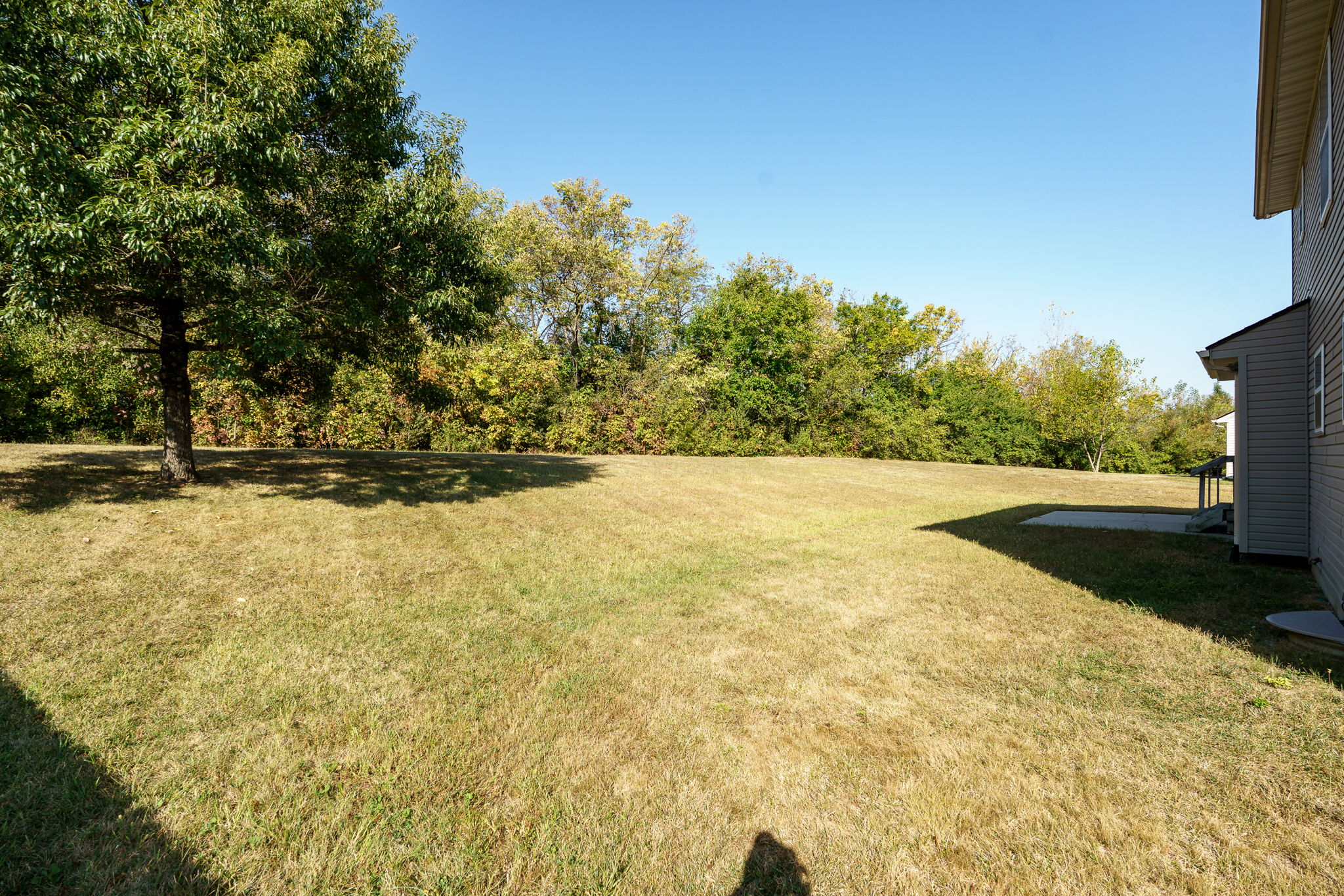  Photo 46