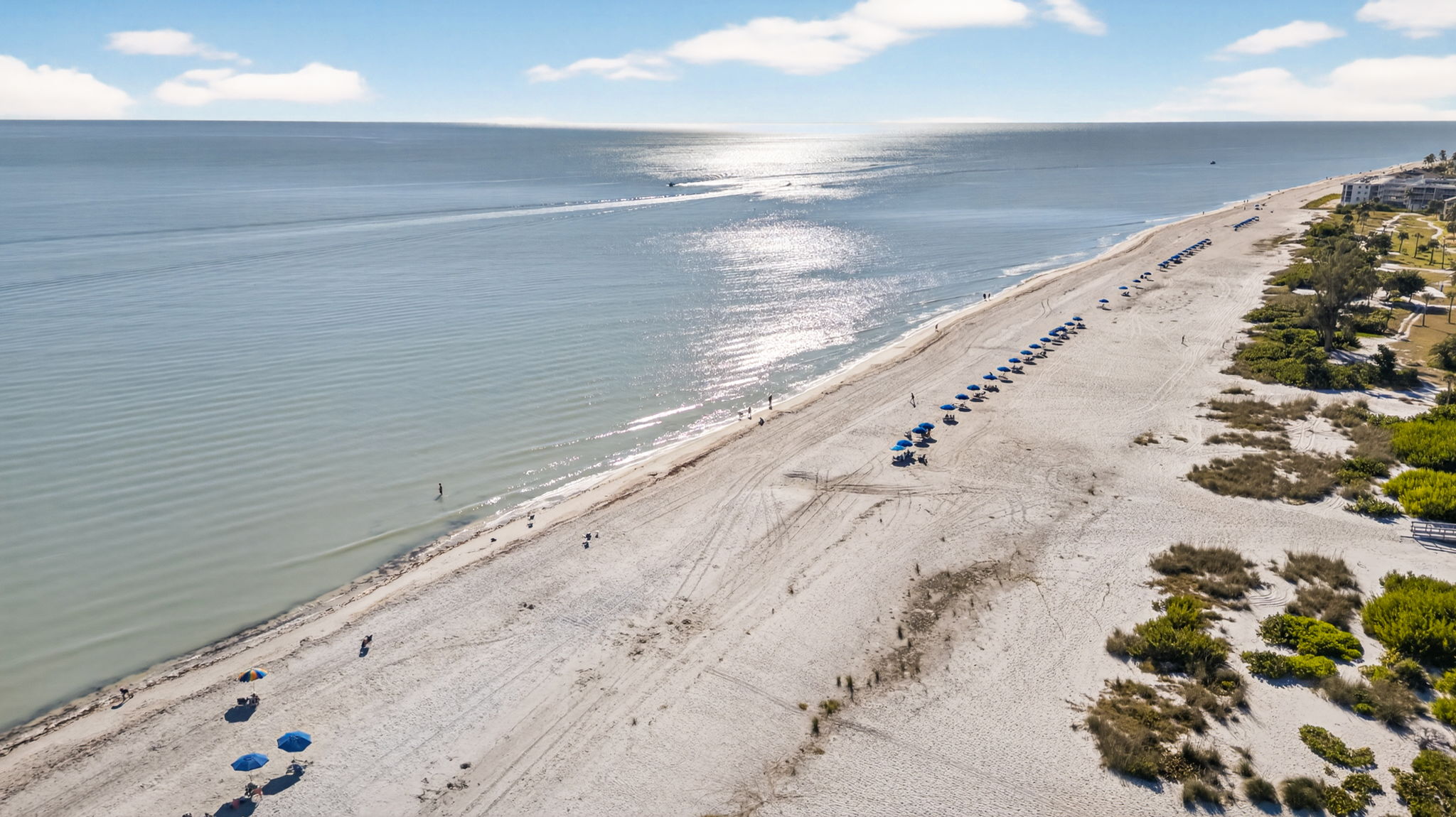 Aerial View 5