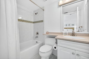 Guest Bathroom 2