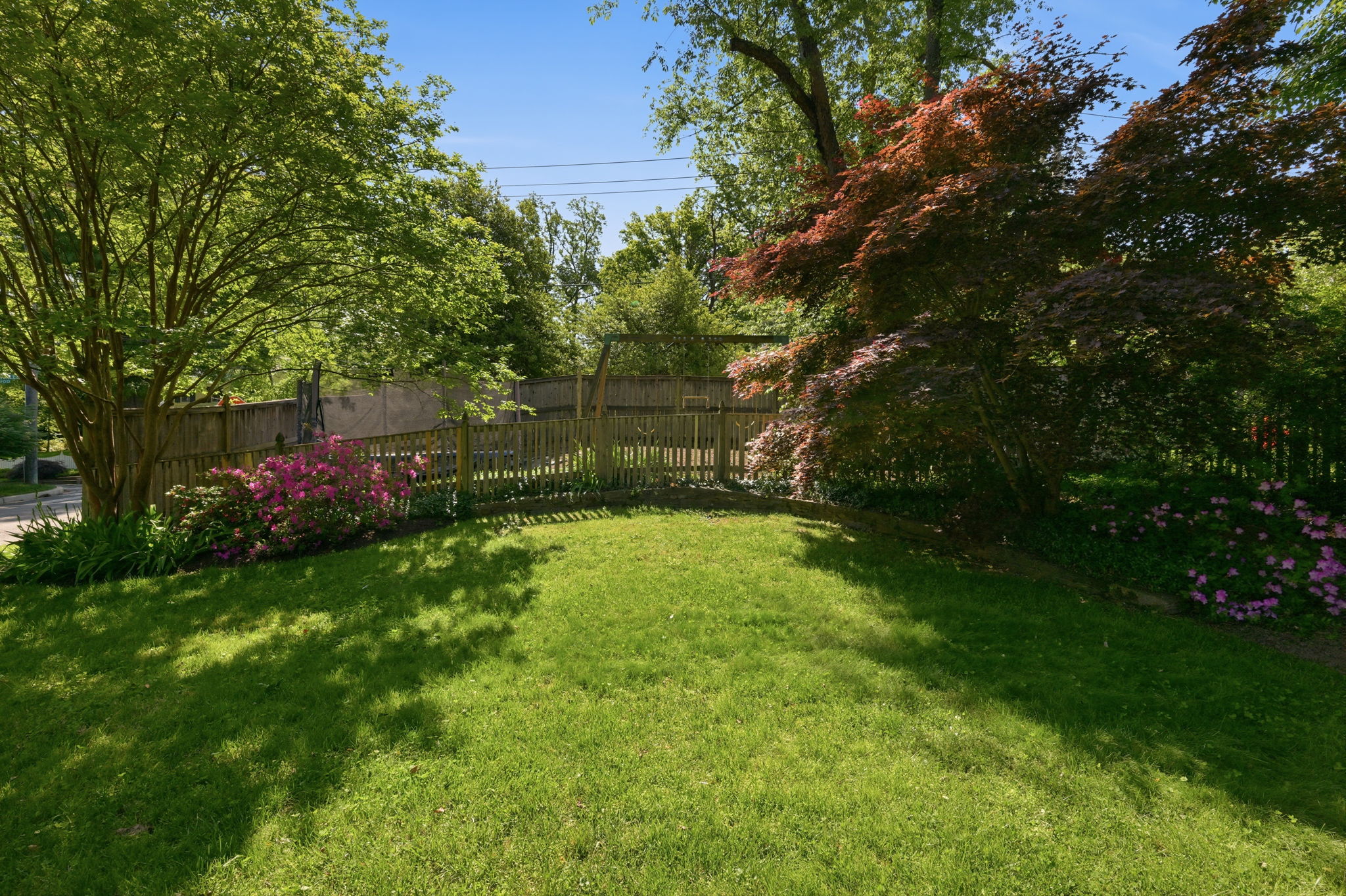  Photo 58