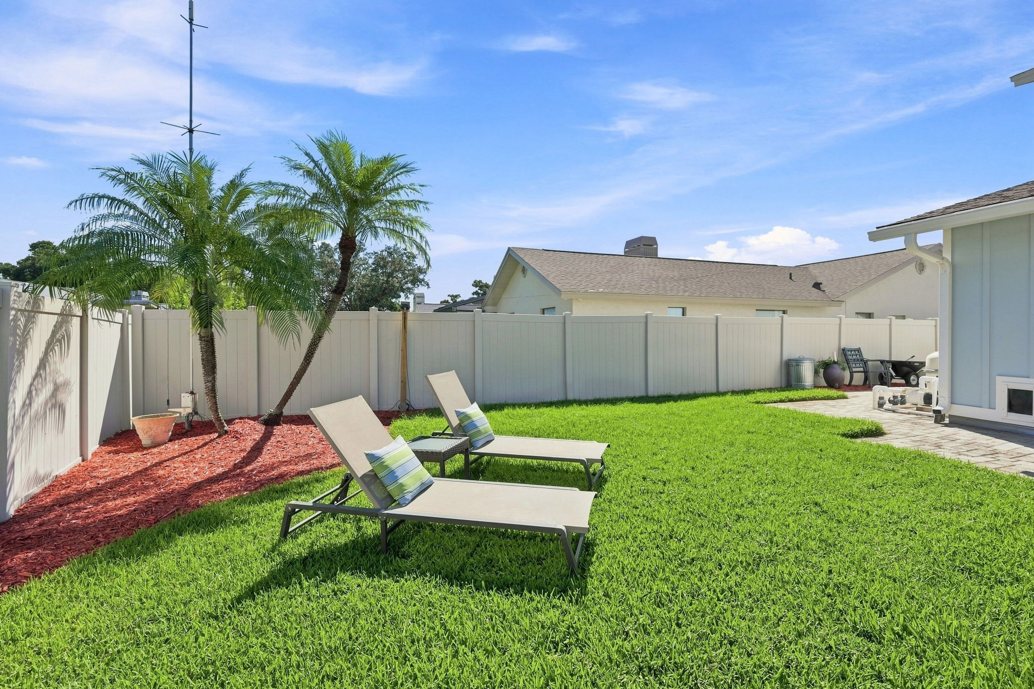Backyard1