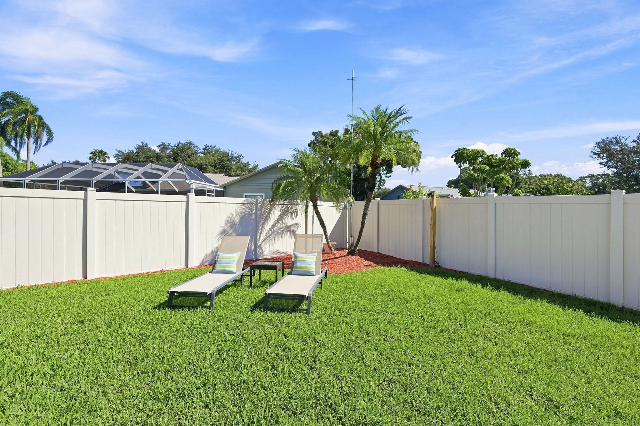 Backyard2