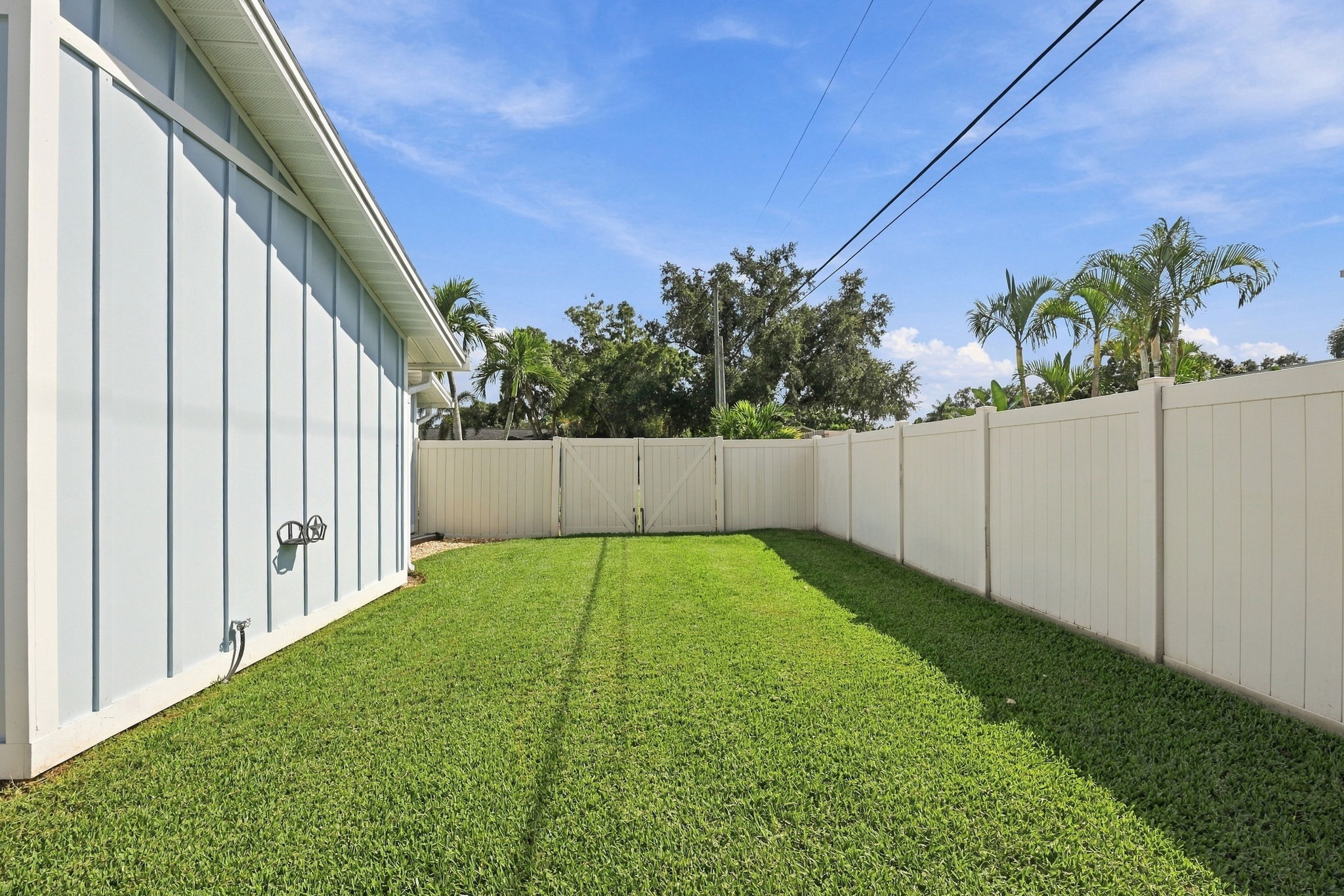 Backyard21