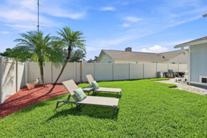 Backyard1