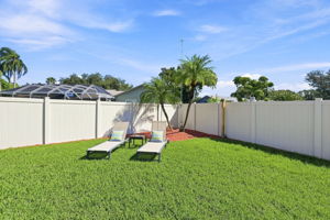 Backyard2
