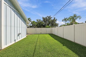 Backyard21