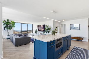 2800 N Lake Shore Dr 801 - Edward Motto_CHP2026_008