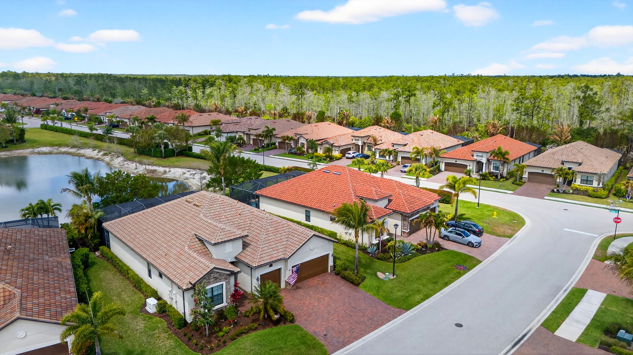 Aerial Front Exterior 2