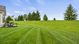  Photo 51