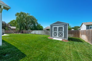  Photo 41