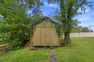  Photo 44