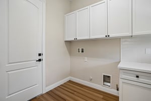 Proust Ct-S2006-027.jpg