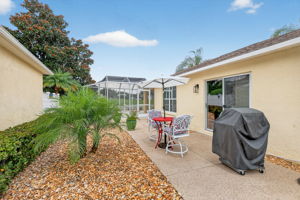 Rear Patio