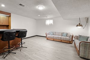 Basement Den 1