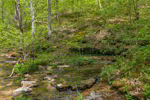 TN-47-2304-903.jpg