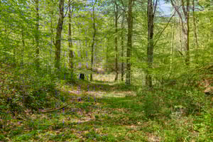 TN-47-2304-910.jpg