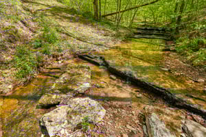TN-47-2304-911.jpg