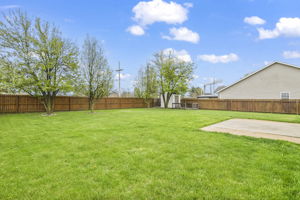 Back View
