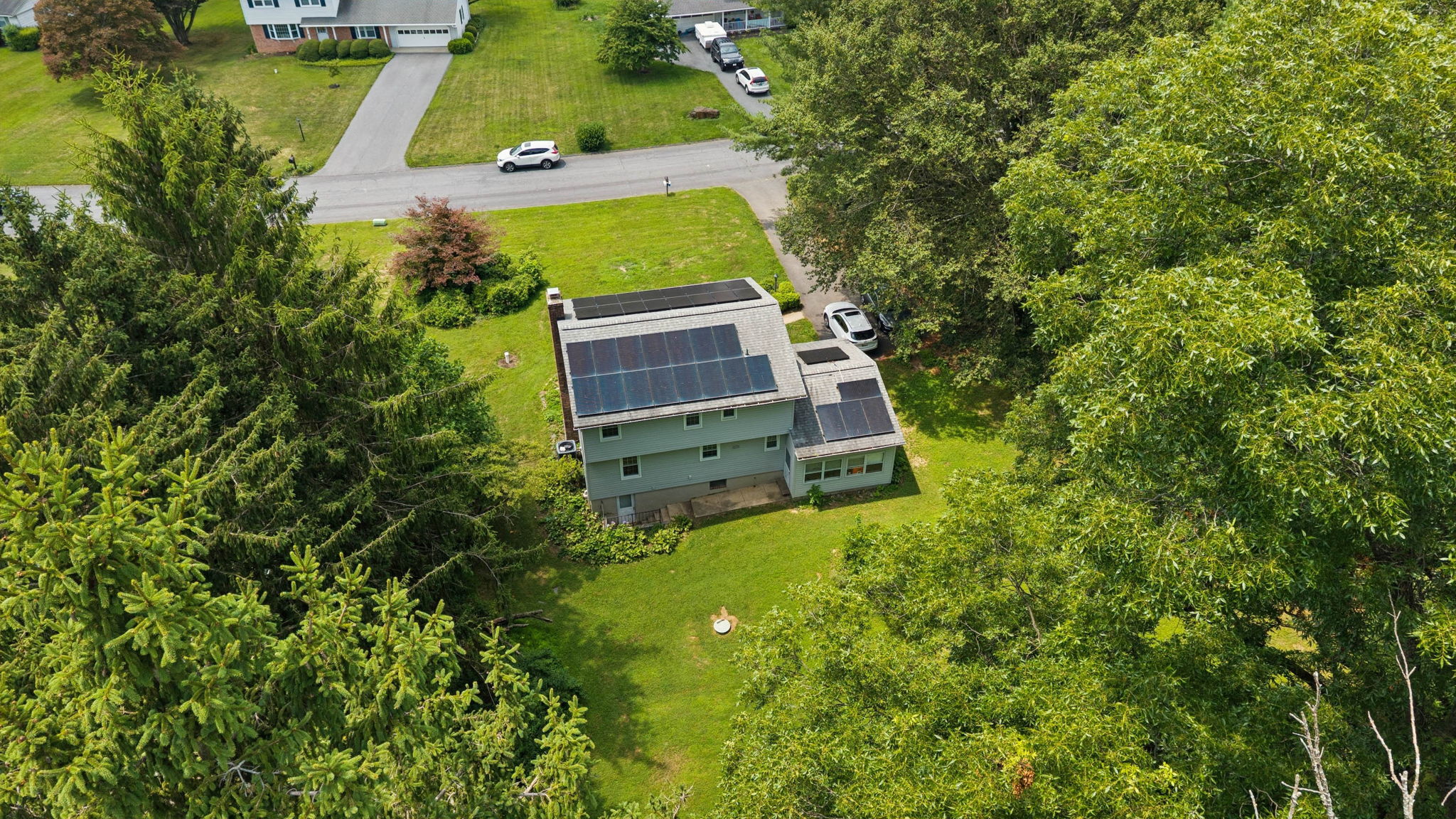 Beechwood 9