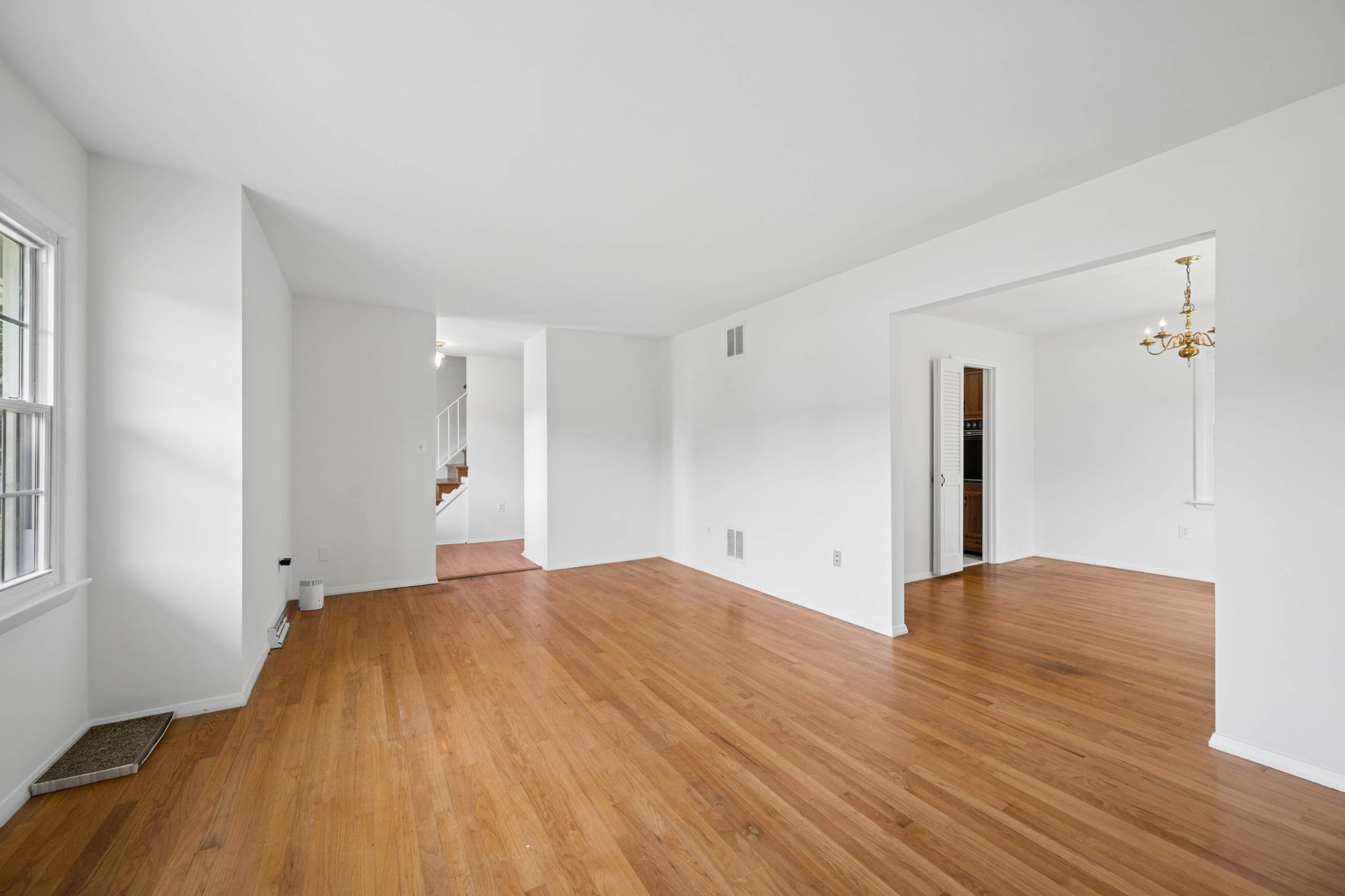 Beechwood 23