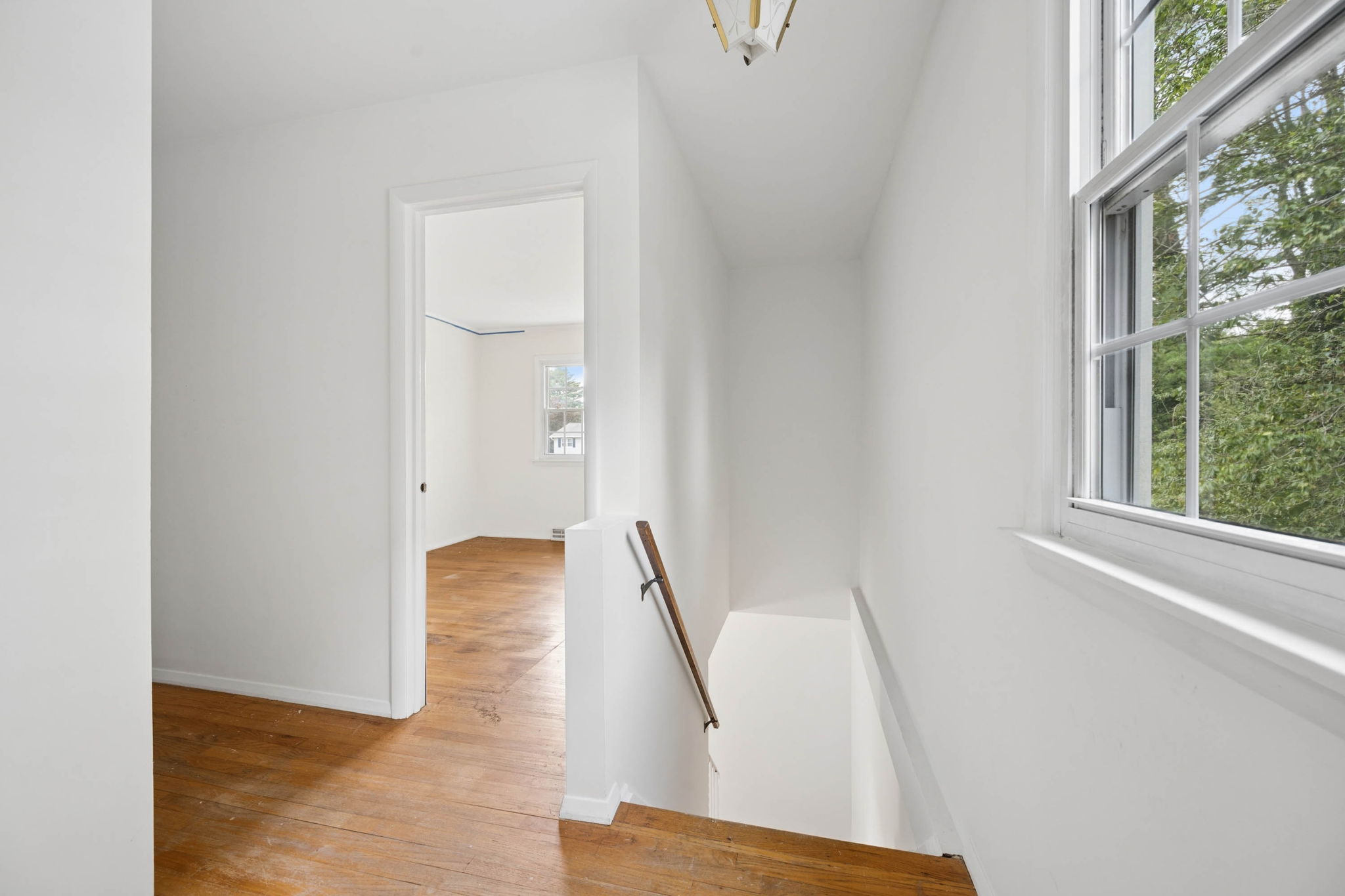 Beechwood 58