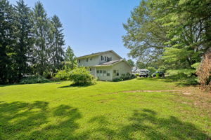Beechwood 15
