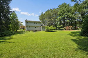 Beechwood 19