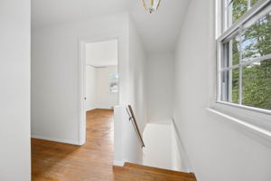 Beechwood 58