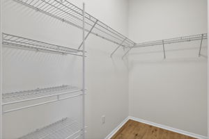 Primary Bedroom Spacious Walk-In Closet