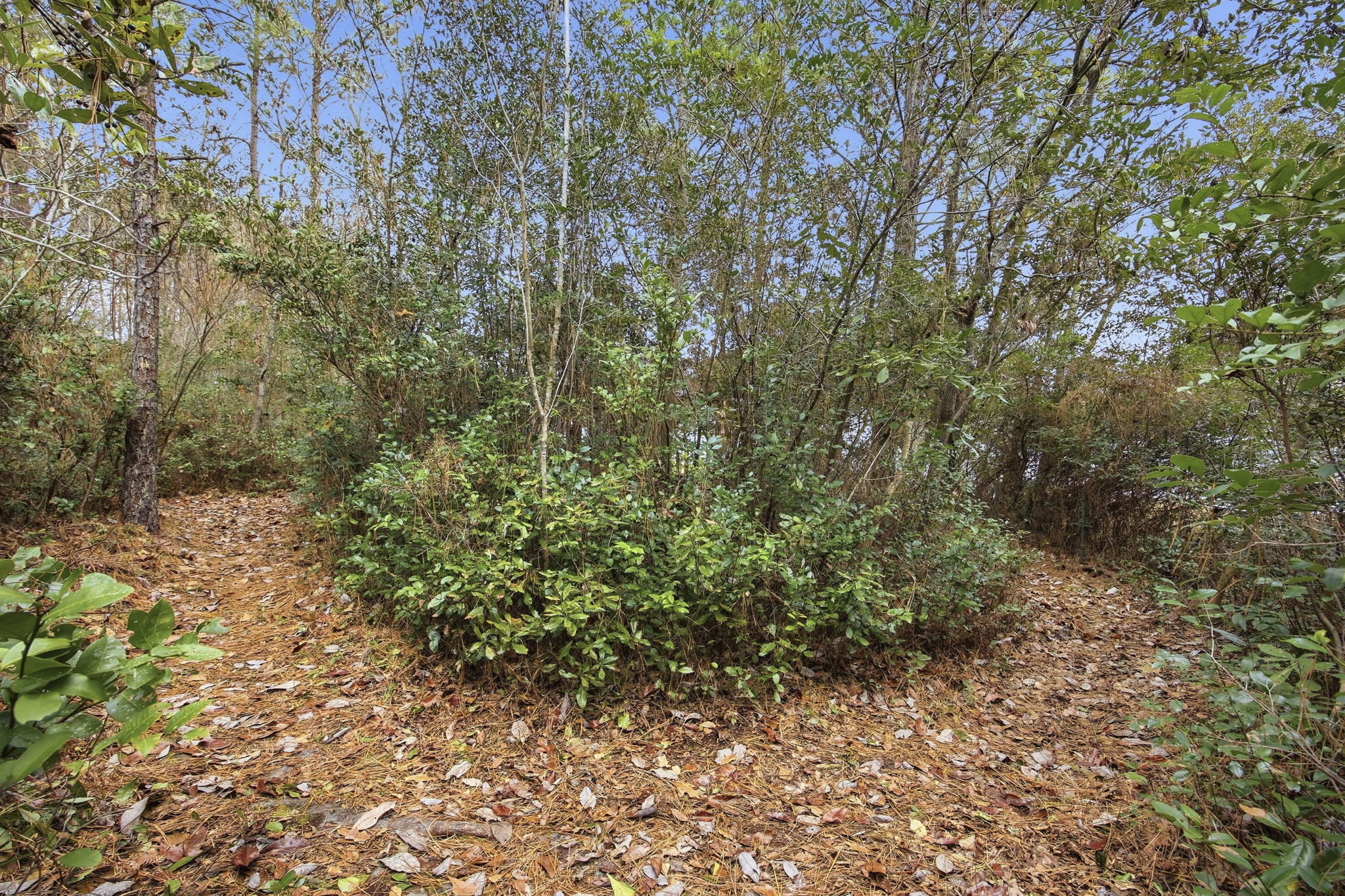  Photo 35