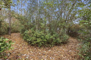  Photo 34