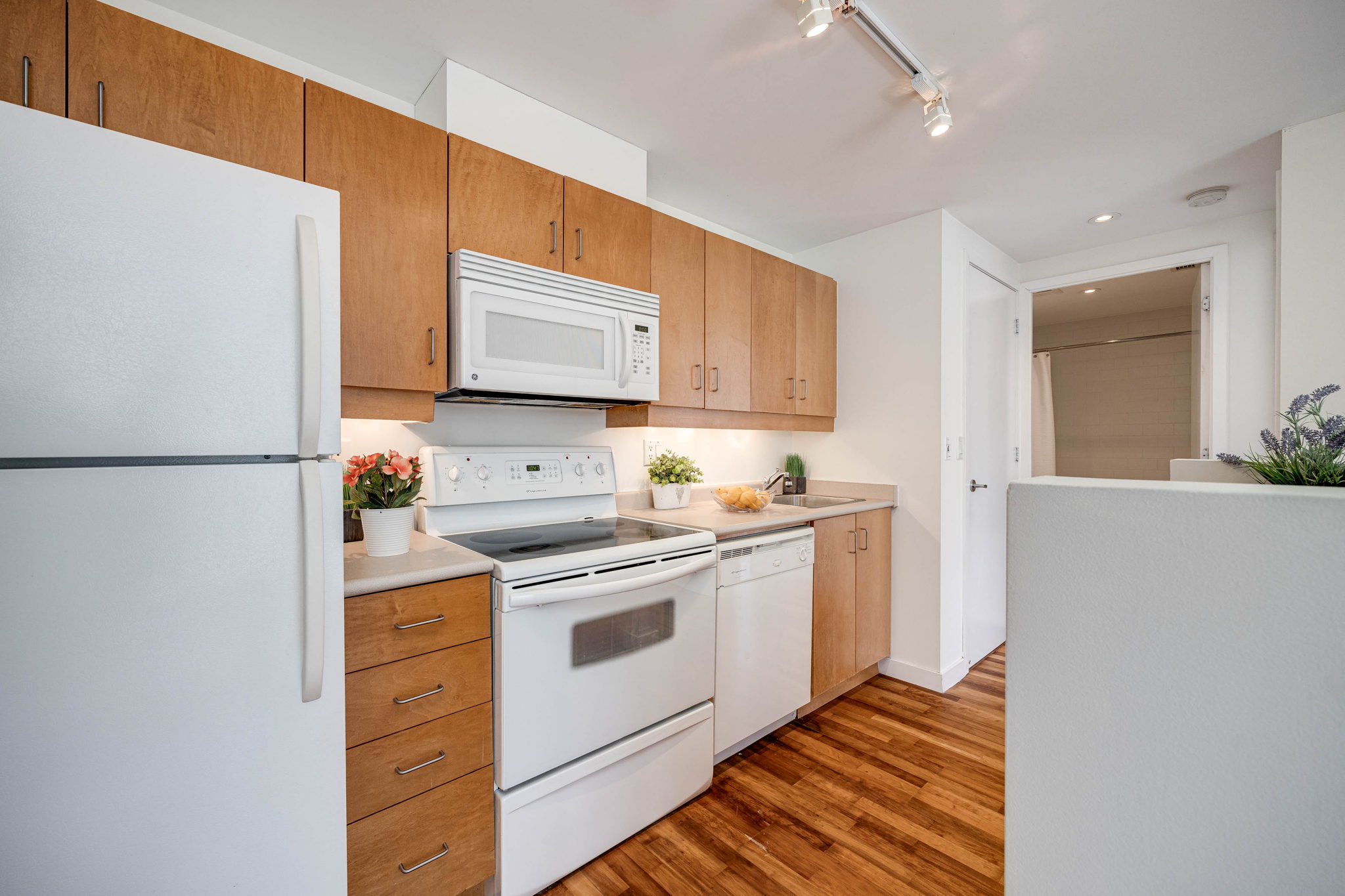 Toronto property showcase — delivered property photograph 13