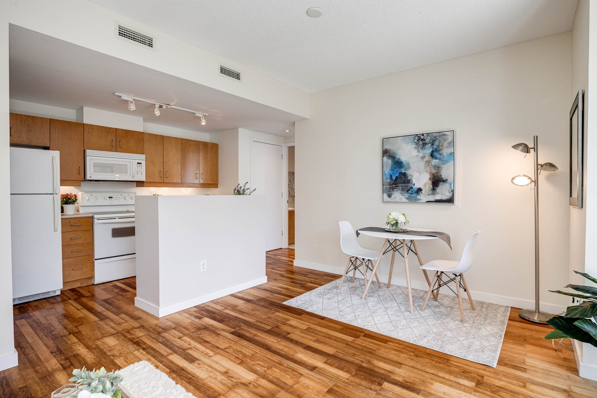 Toronto property showcase — delivered property photograph 9