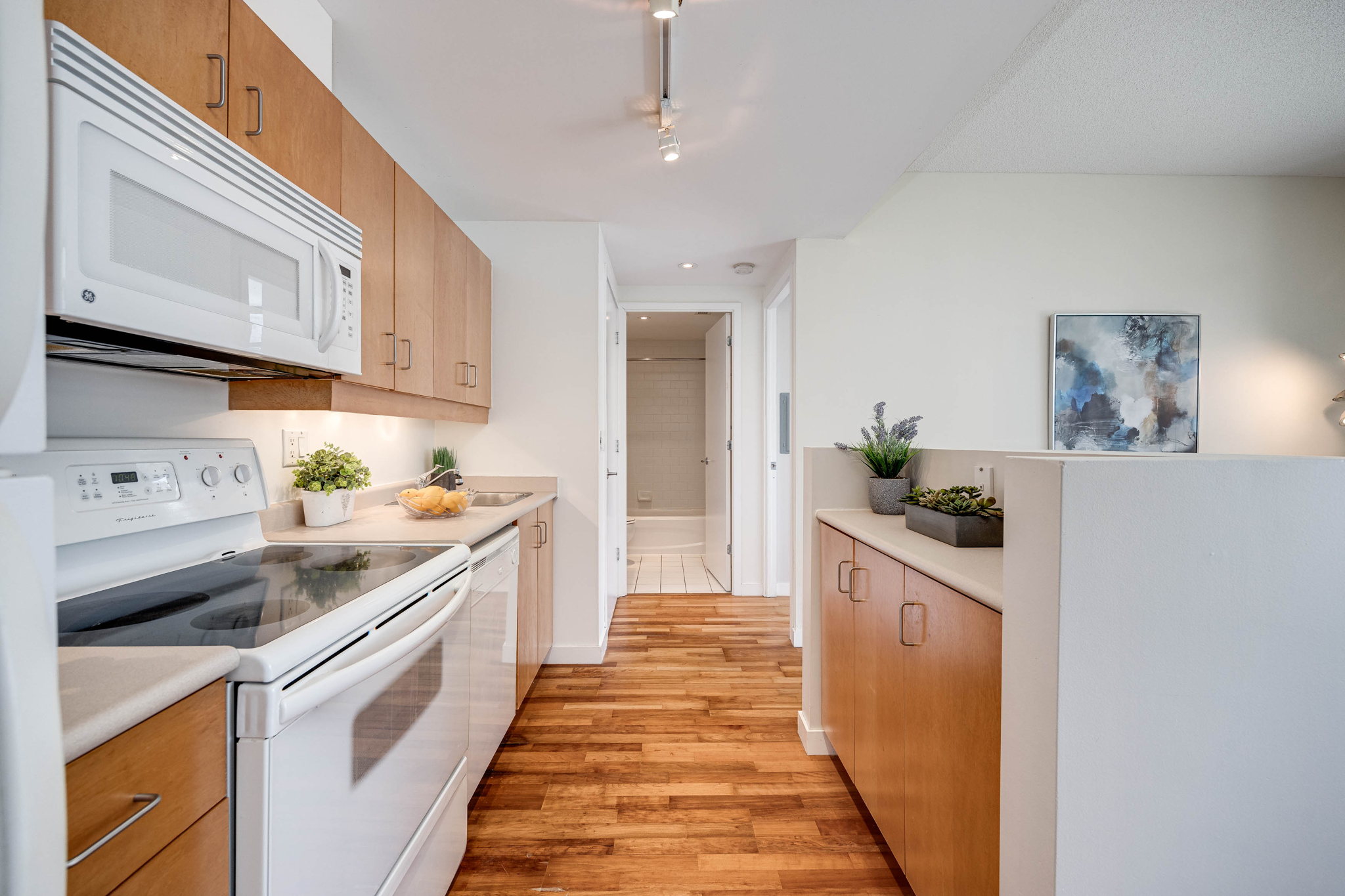 Toronto property showcase — delivered property photograph 14