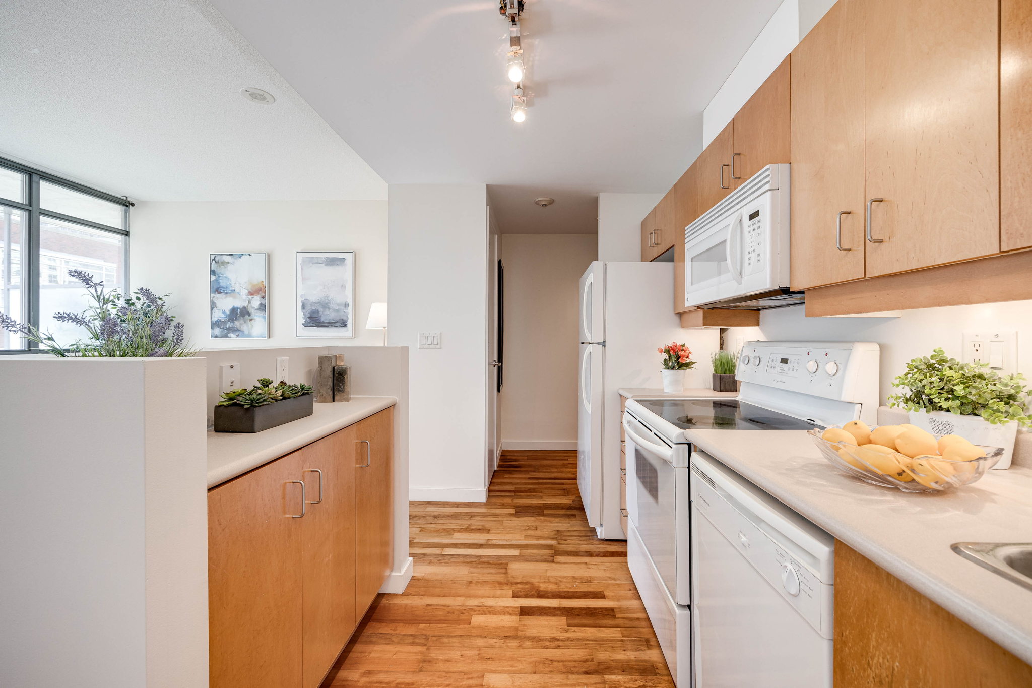 Toronto property showcase — delivered property photograph 16