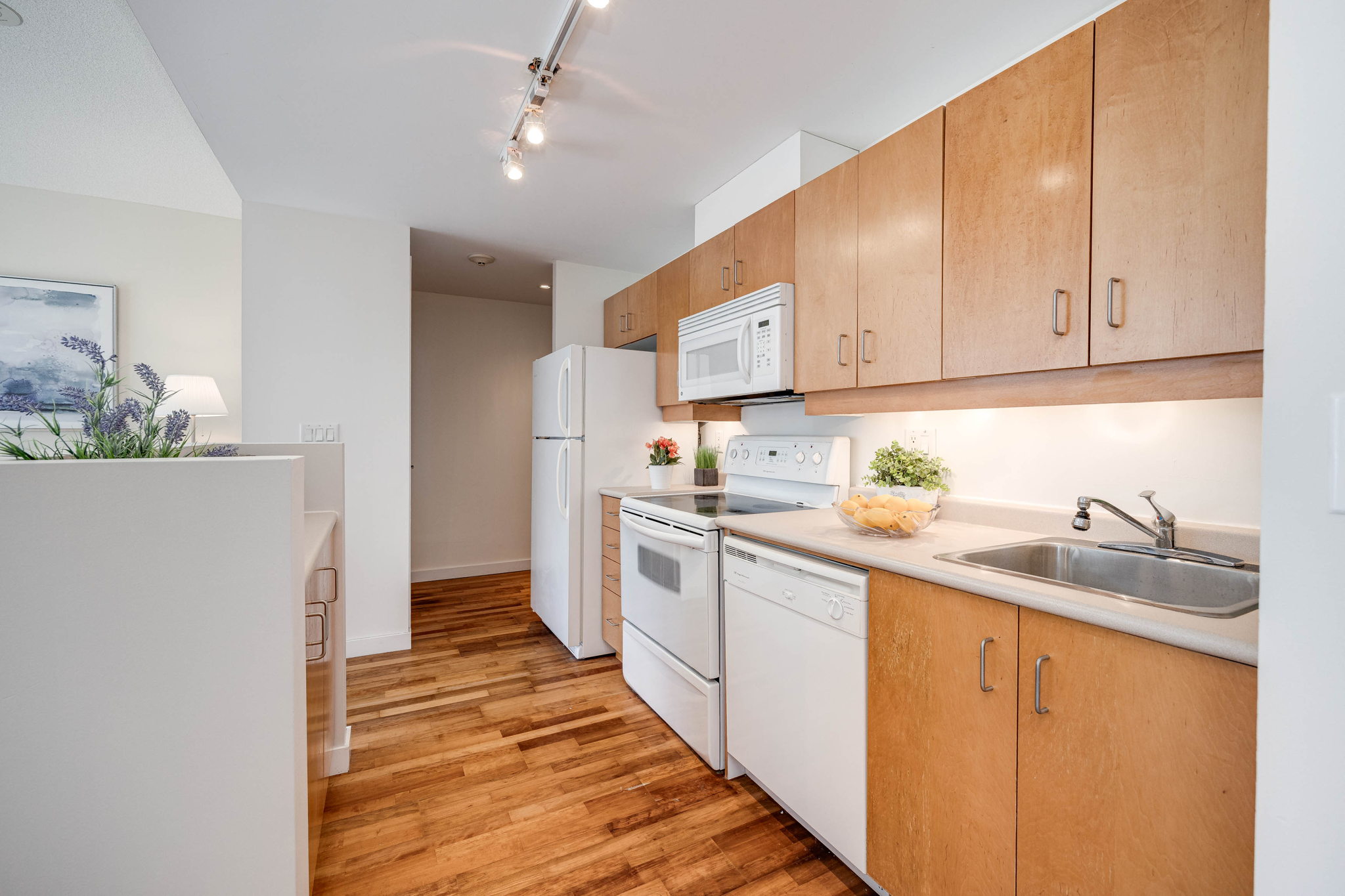 Toronto property showcase — delivered property photograph 15