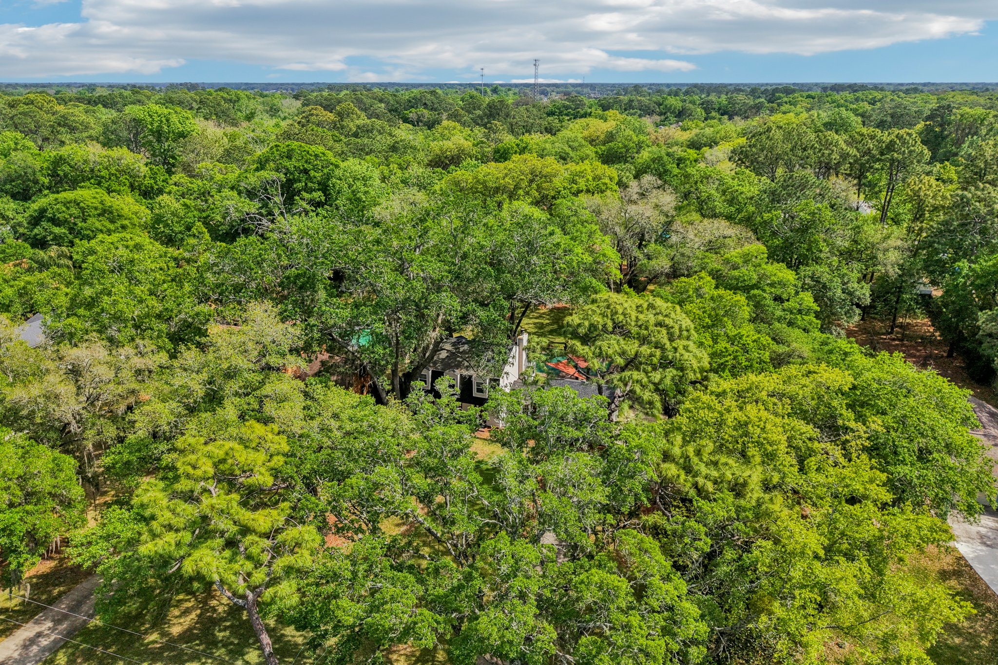 Mandarin Meadows Dr-S0204-085.jpg