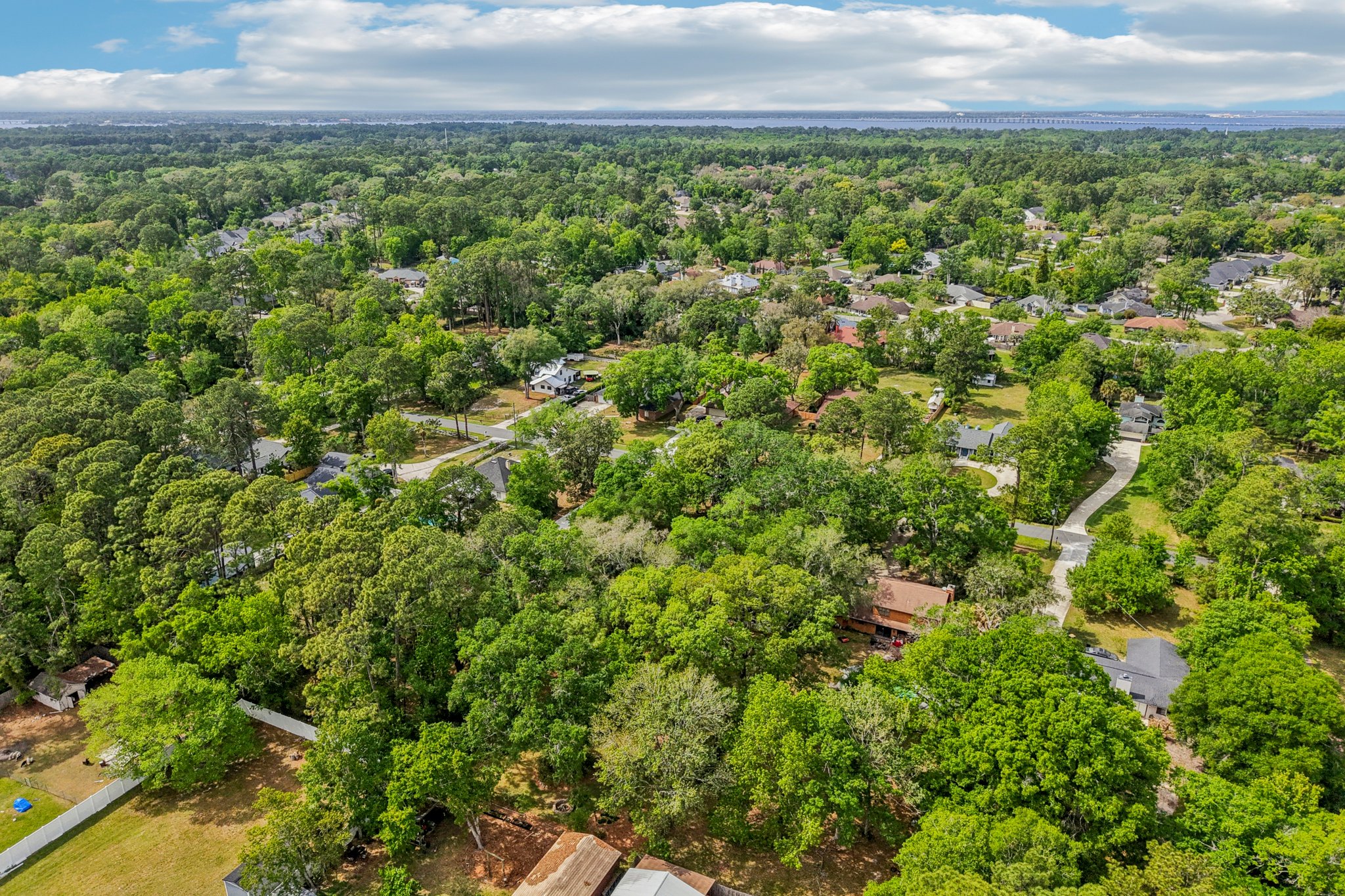 Mandarin Meadows Dr-S0204-093.jpg