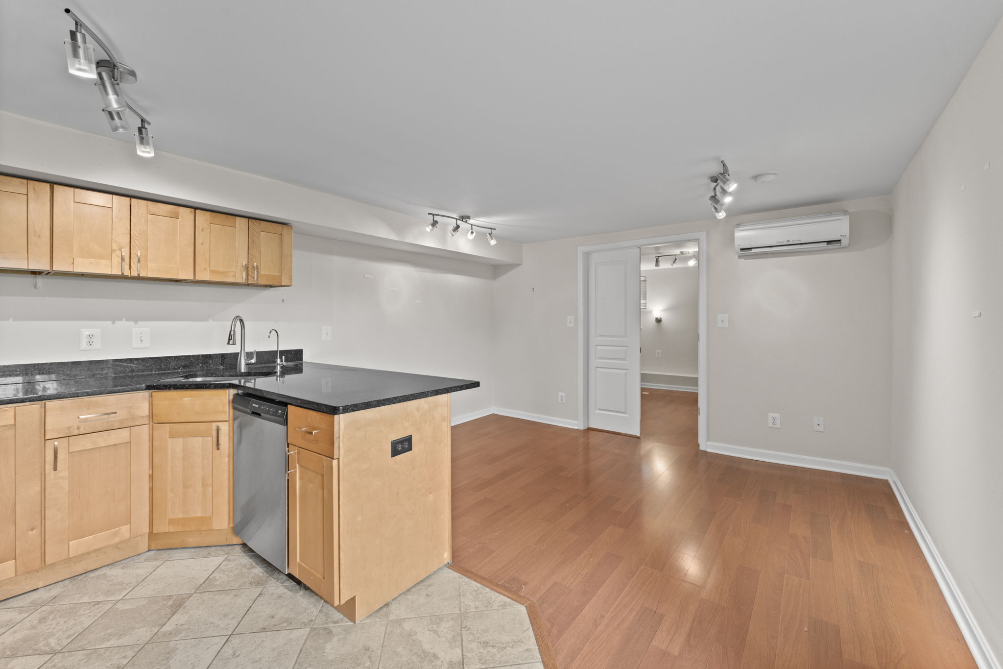 Lower Level Kitchen and Living Area