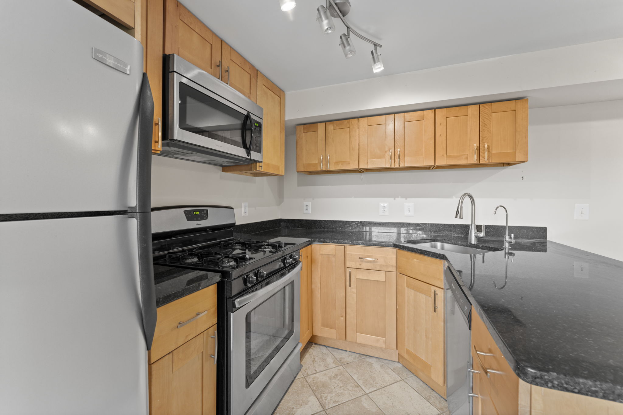 Lower Level Kitchen