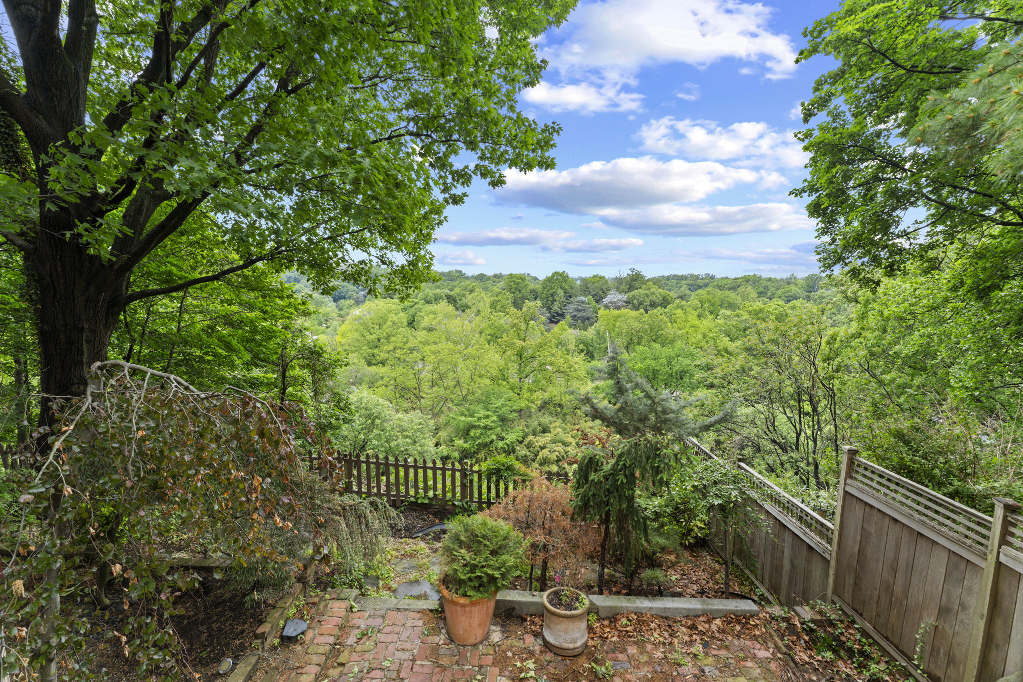 View of Rock Creek Park & Zoo