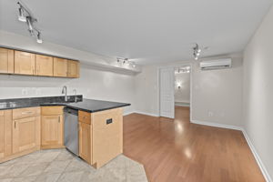 Lower Level Kitchen and Living Area
