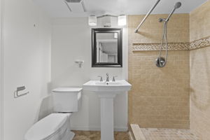 Lower Level Bathroom