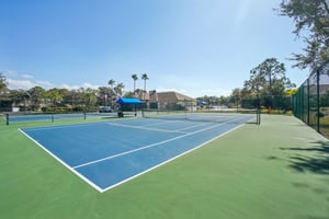 Punta Palma Ct-907.jpg