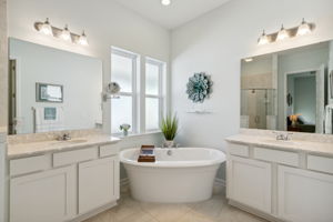 Primary Bath with Soaking Tub and  Dual Vanities