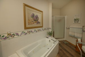 25-Primary Bathroom