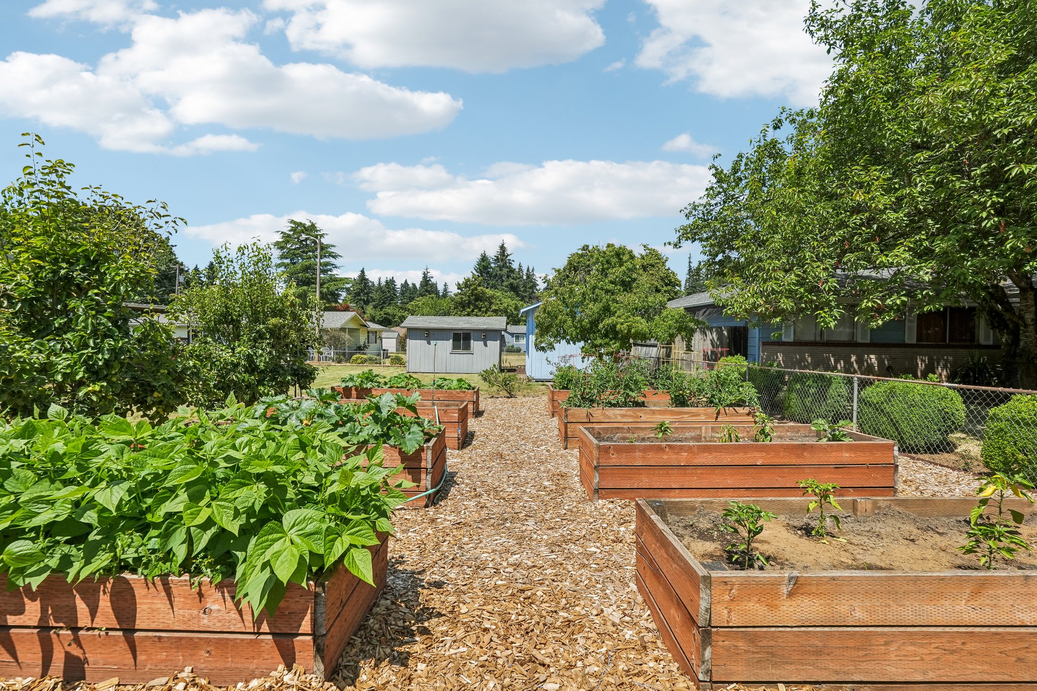 NE 124th Ave-S0707-045.jpg