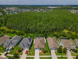 Aerial (5)